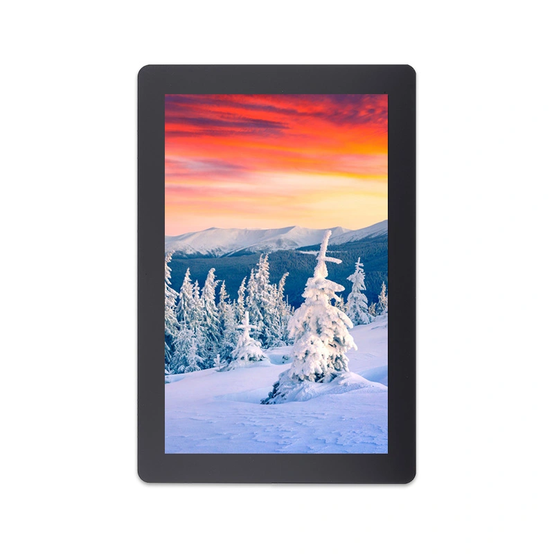 10,1 Zoll 800x1280 Auflösung IPS MIPI Schnitts telle LCD-Modul