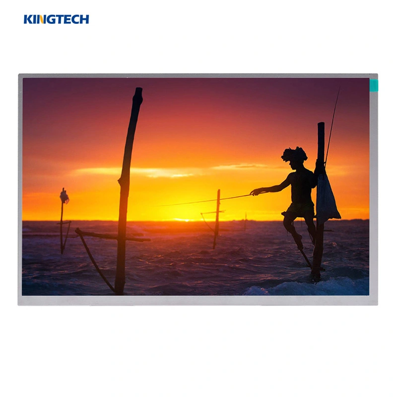 10,1 Zoll 1280x800 LVDS-Schnitts telle IPS TFT LCD-Bildschirm